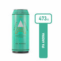ANDES IPA 473