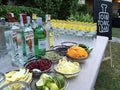 FIESTA TRAGO GIN TONIC